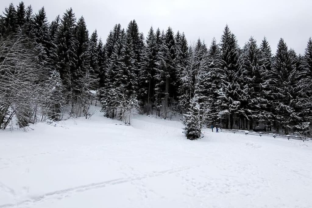 Cocon A Châtel Exteriör bild